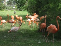 パリ植物園付属動物園